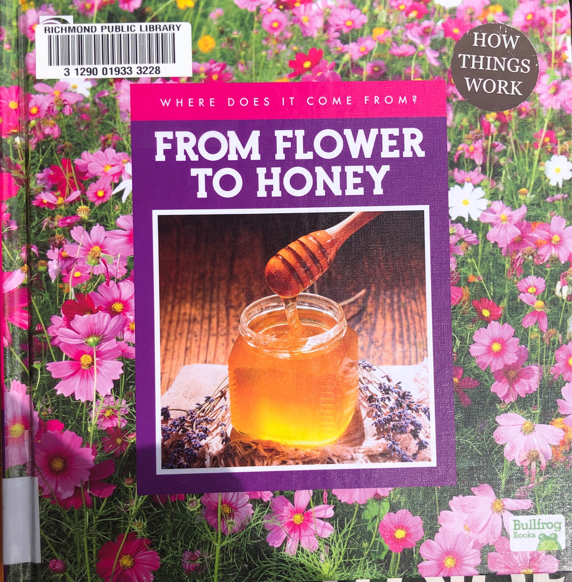 From flower to honey