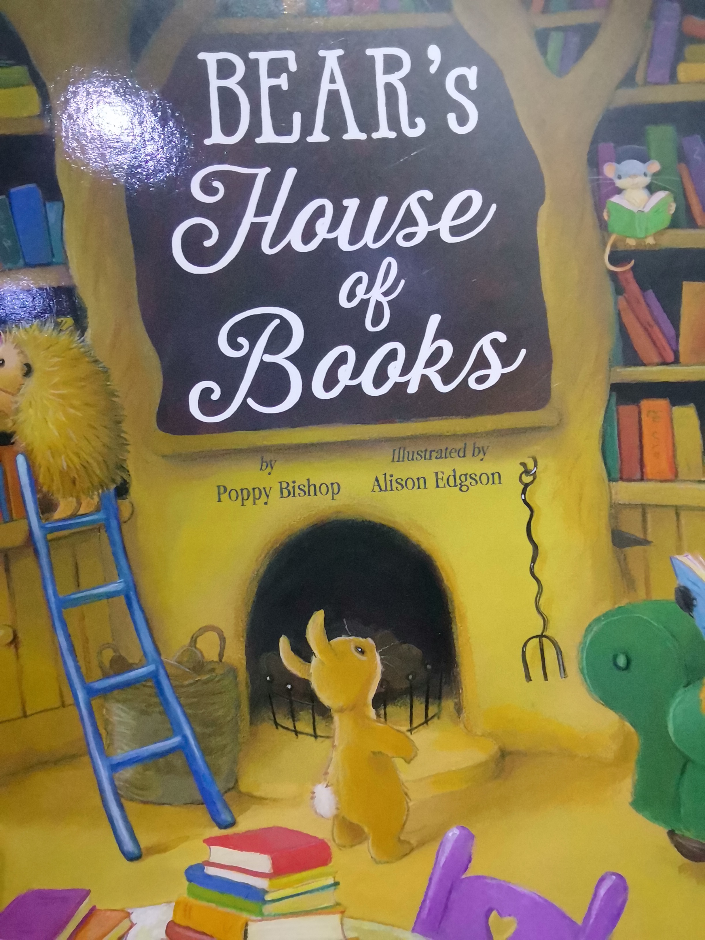 bear's house of books