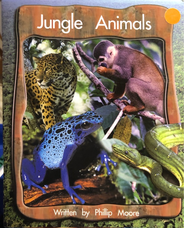 Jungle Animals