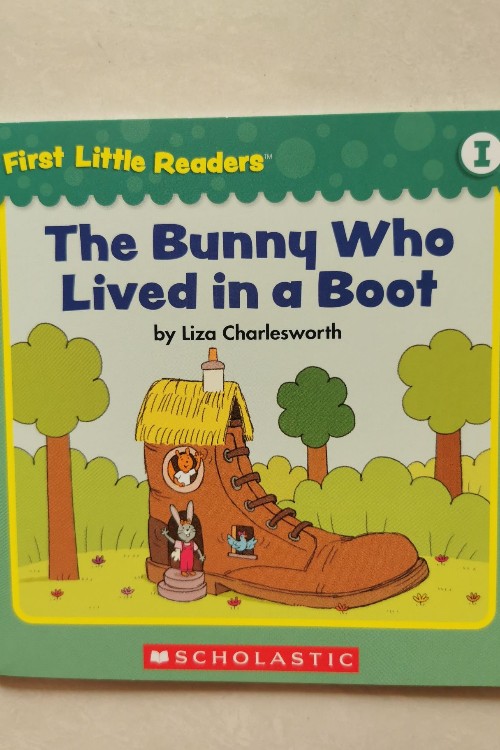 The Bunny Who Live in a Boot