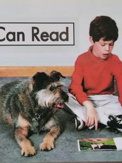 Heinemann Gk-17: I can read