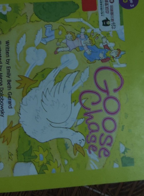 goose  chase