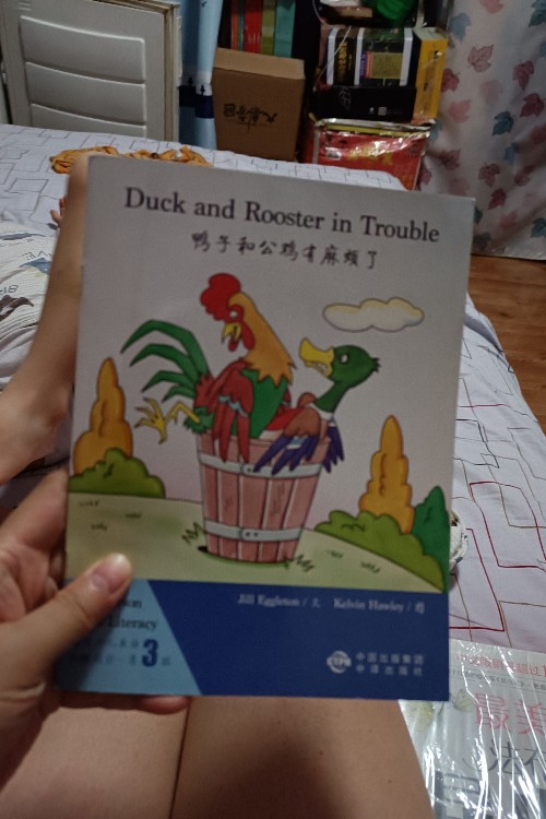 Duck and rooster trouble