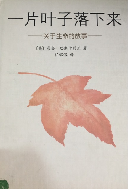 一片葉子掉下來(lái)