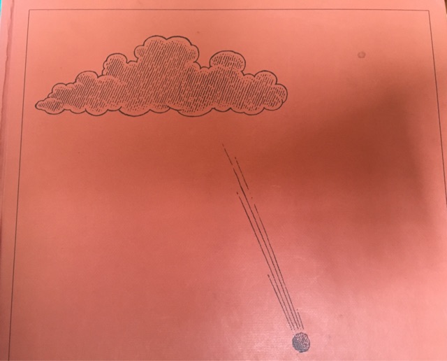 陰天有時(shí)下肉丸