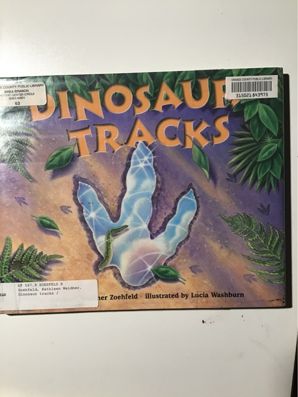 Dinosaur tracks