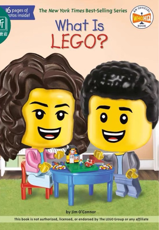 What is LEGO