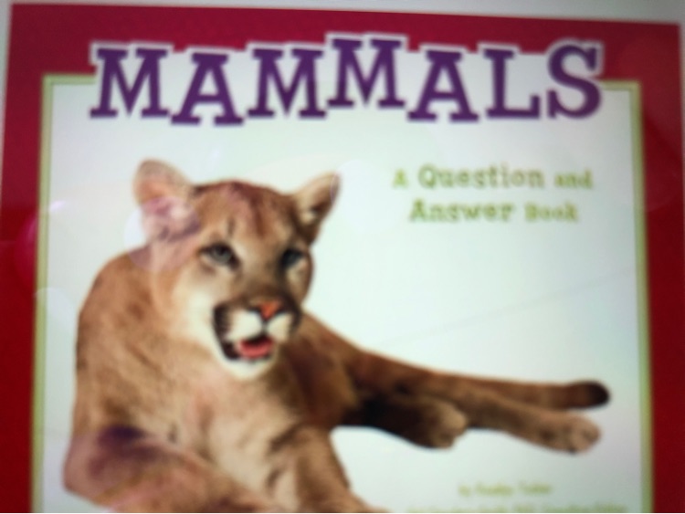 Mammals