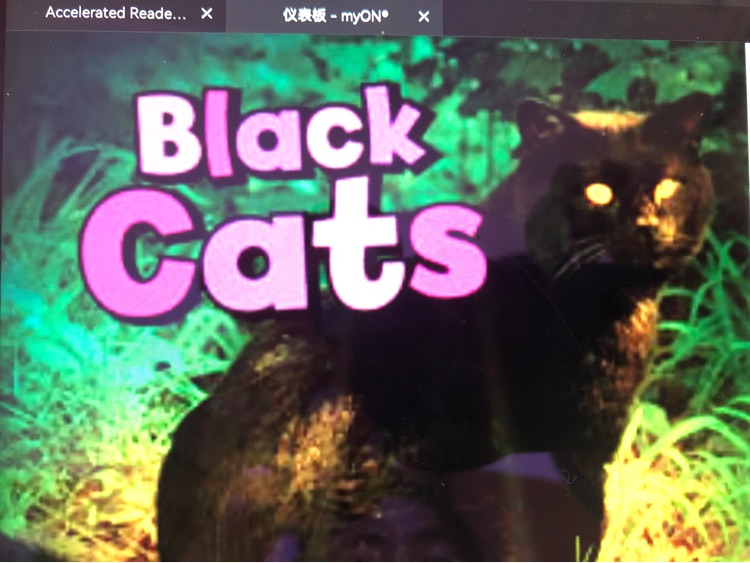 Black Cats