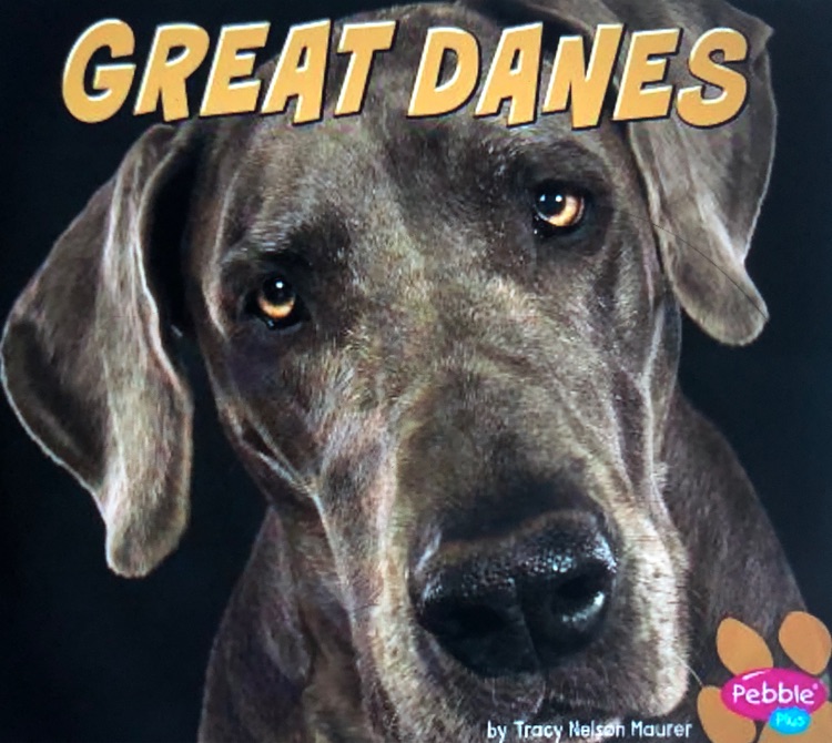 Great Danes