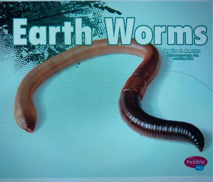 Earth Worms