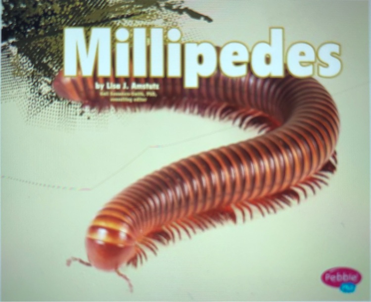 Millipedes