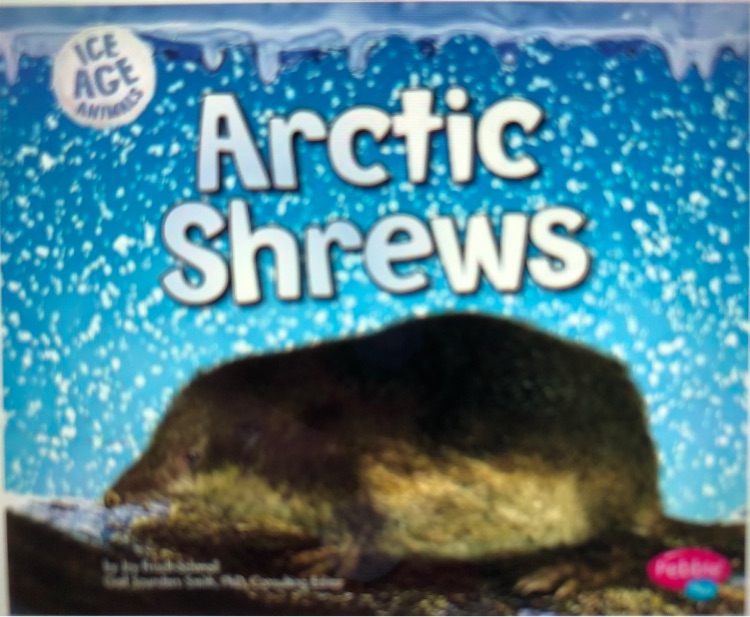 Arctic Shrews