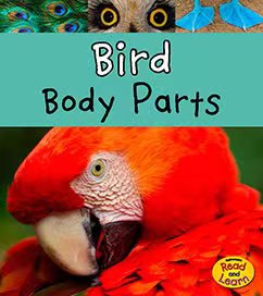 Bird body parts