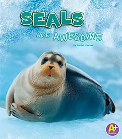 Seals  are alwesome