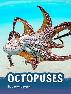 Octopuses