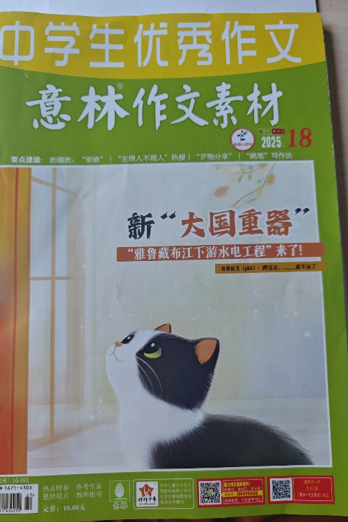 意林作文素材2025.18