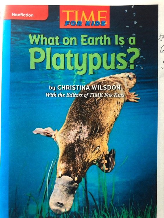 what on earth is a platypus