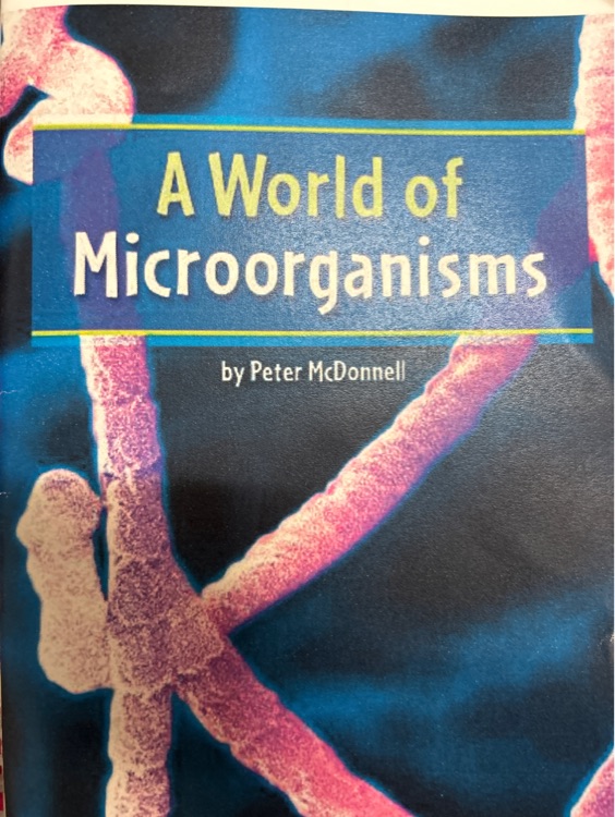 a world of microorganisms