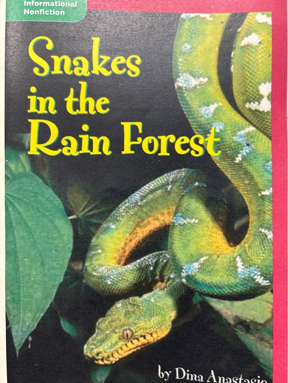 snakes in the rain forest