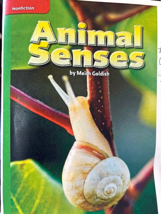 animal senses