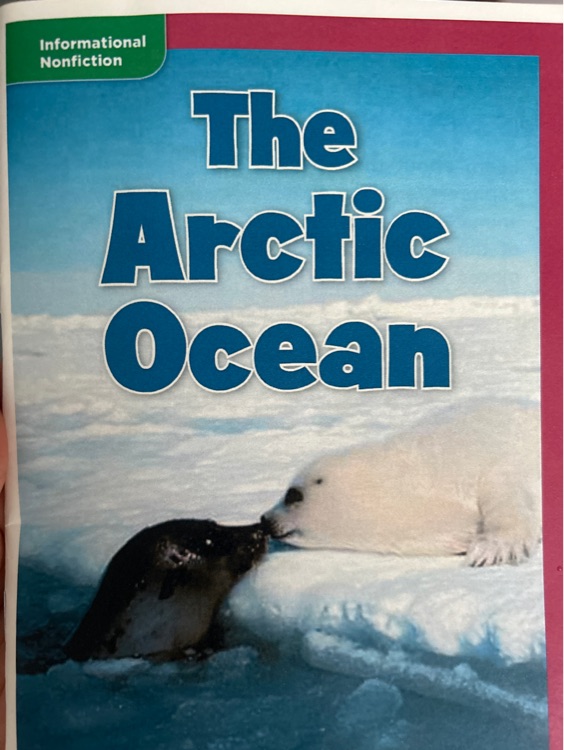 the arctic ocean