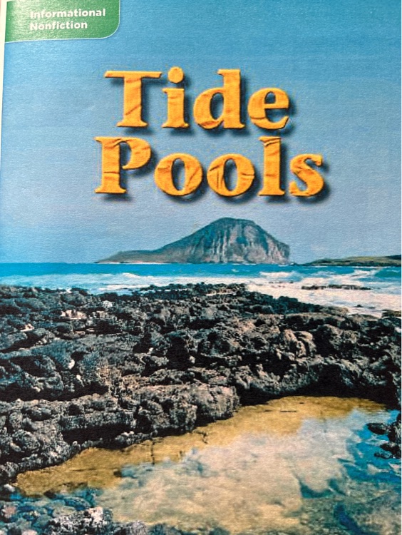 tide pools