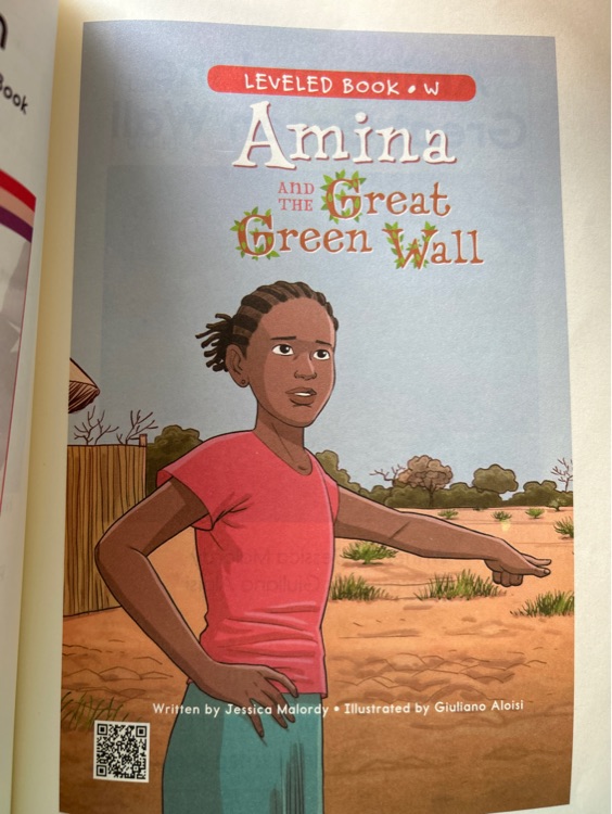 amina and the great green wall