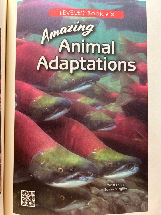 amazing animal adaptations