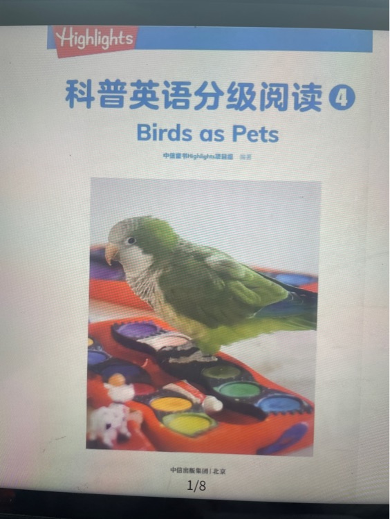 Birds as pets