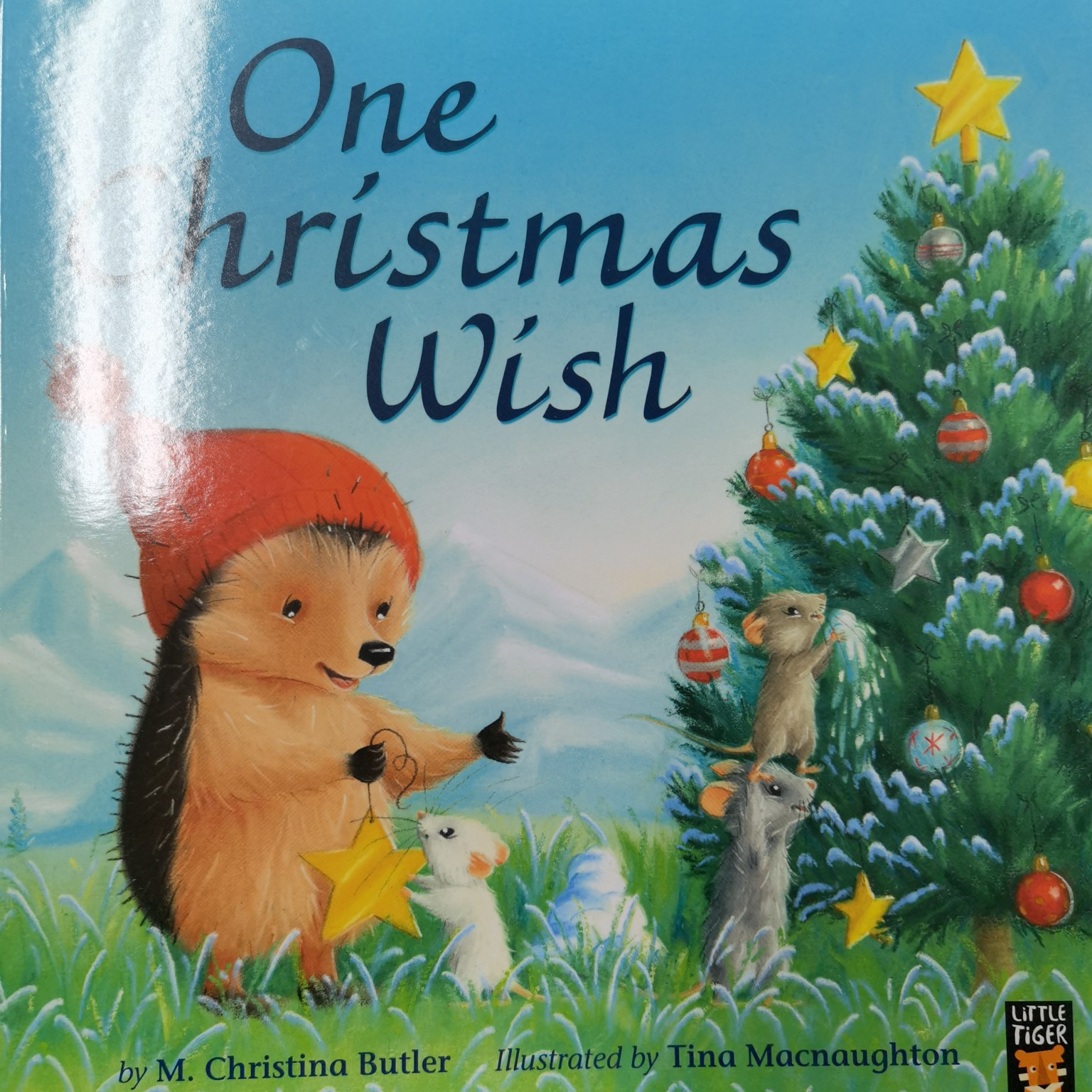 One Christmas wish