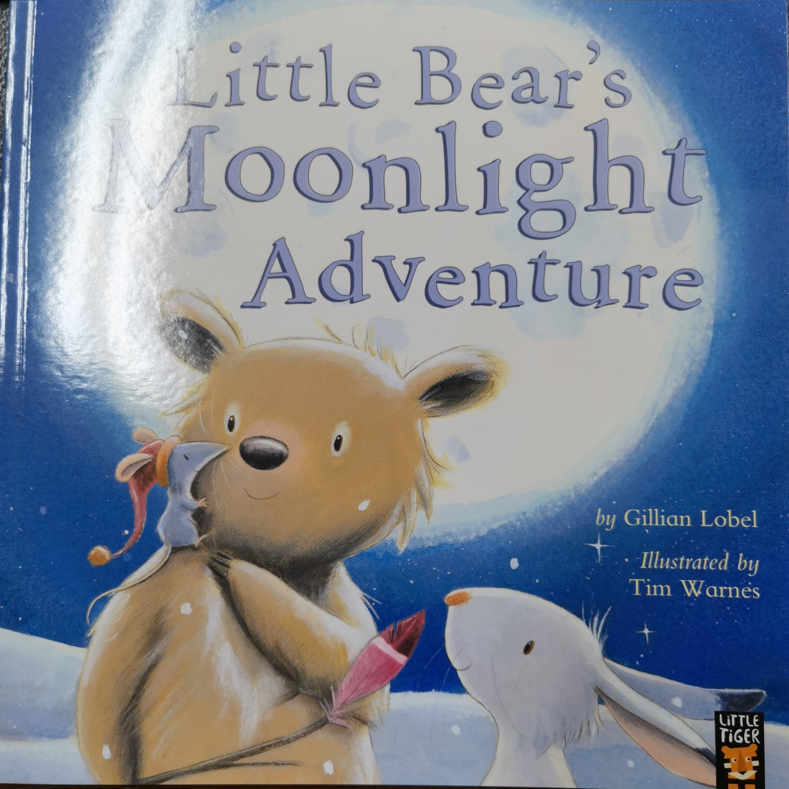 Little bear's moonlight adventure