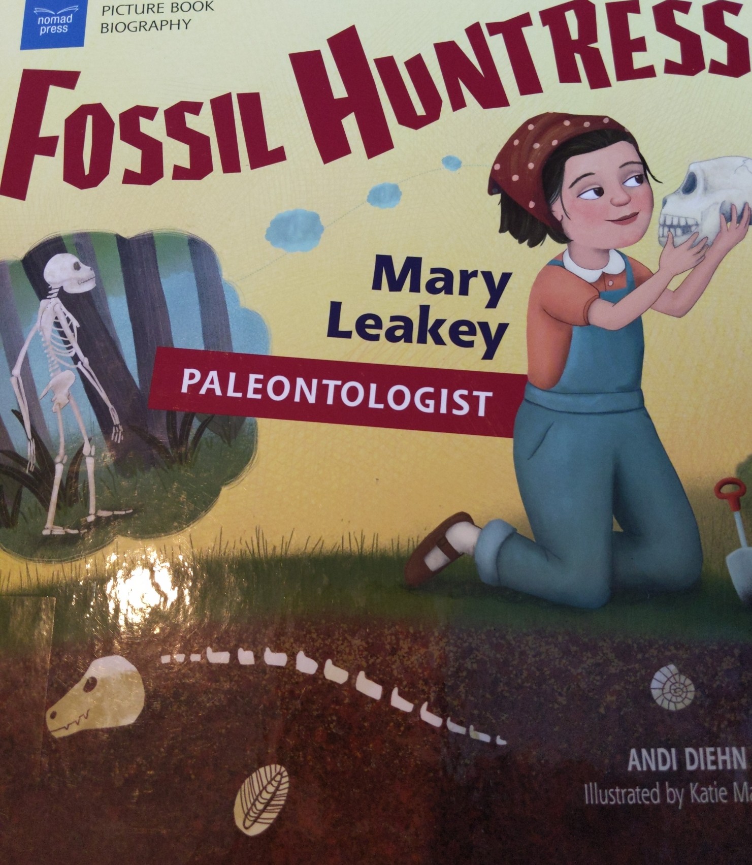 Fossil Hunter