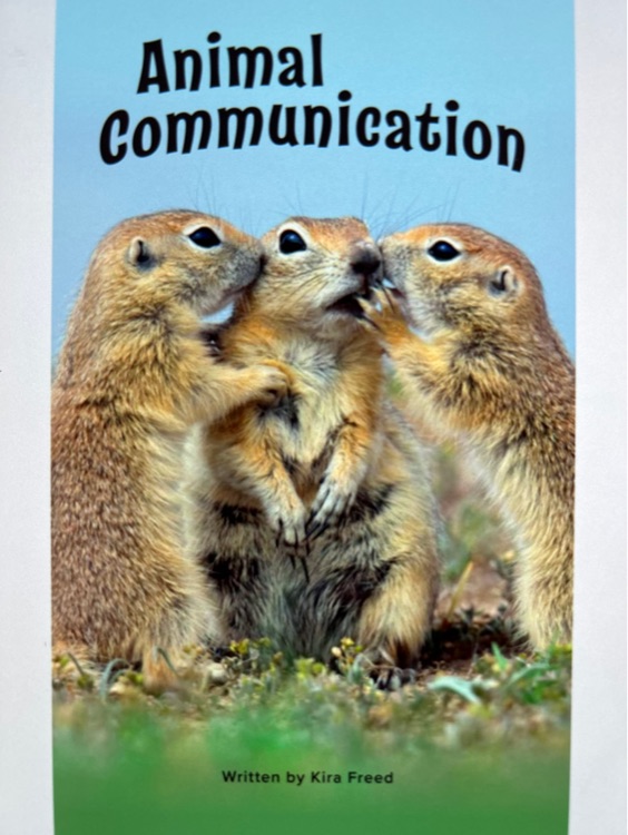 Animal Communication (Raz V)