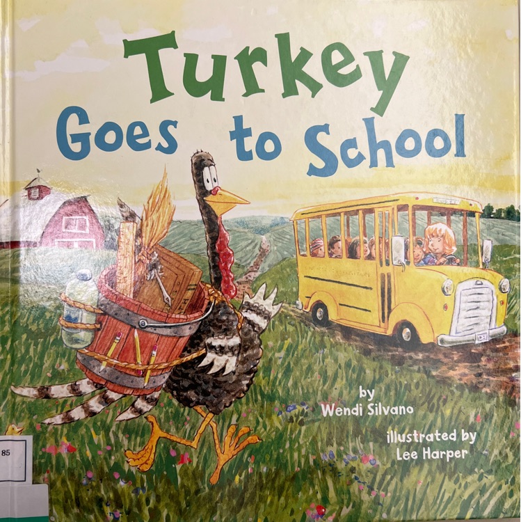 Turkey goes to school