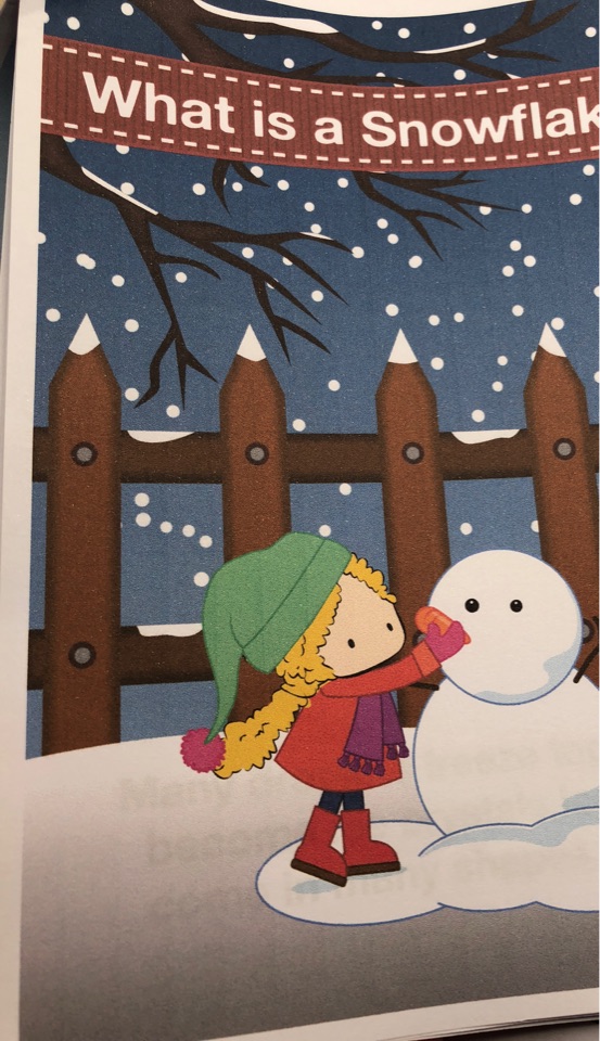 what is a snowflake