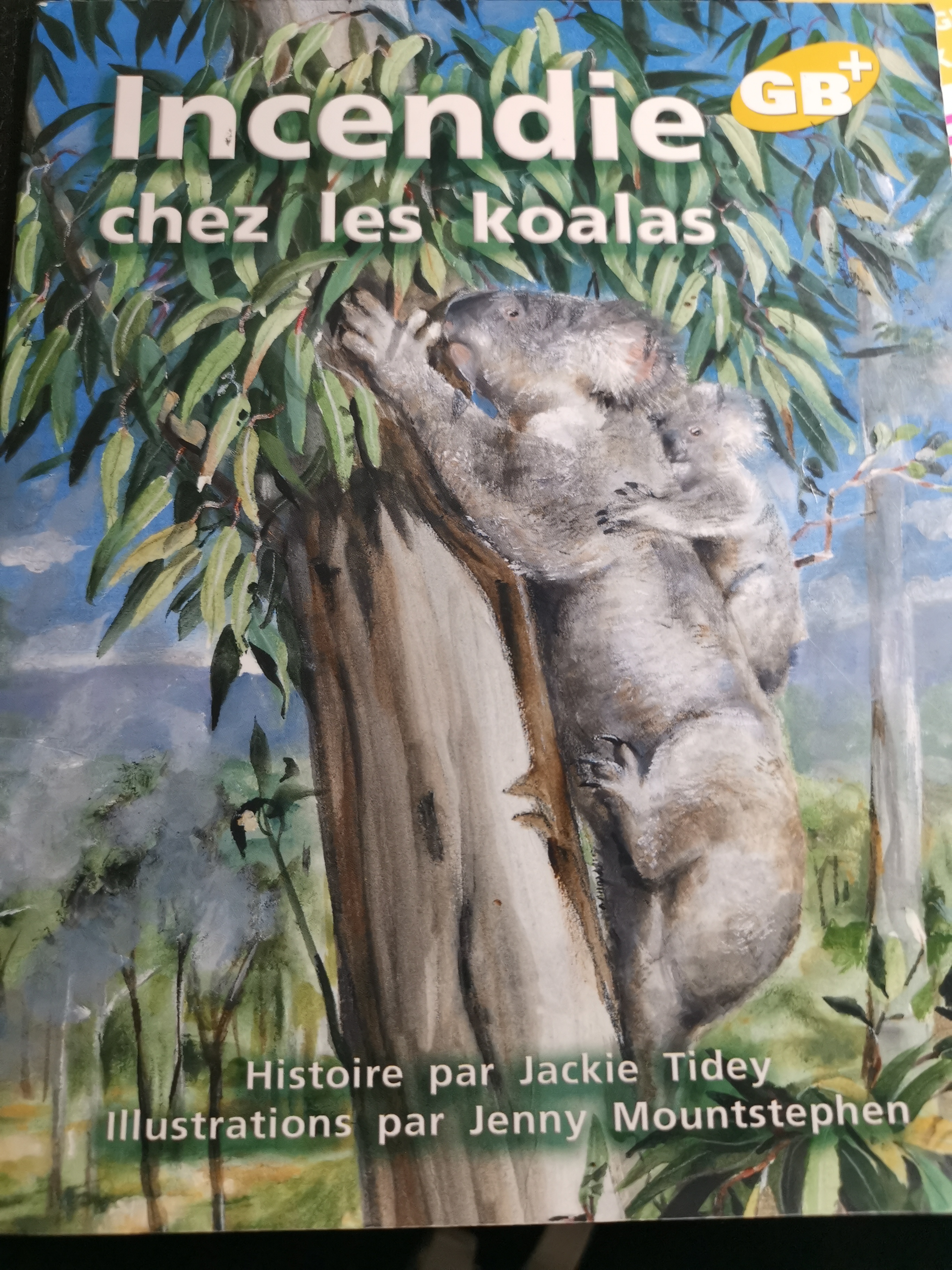 incendie chez Les koalas