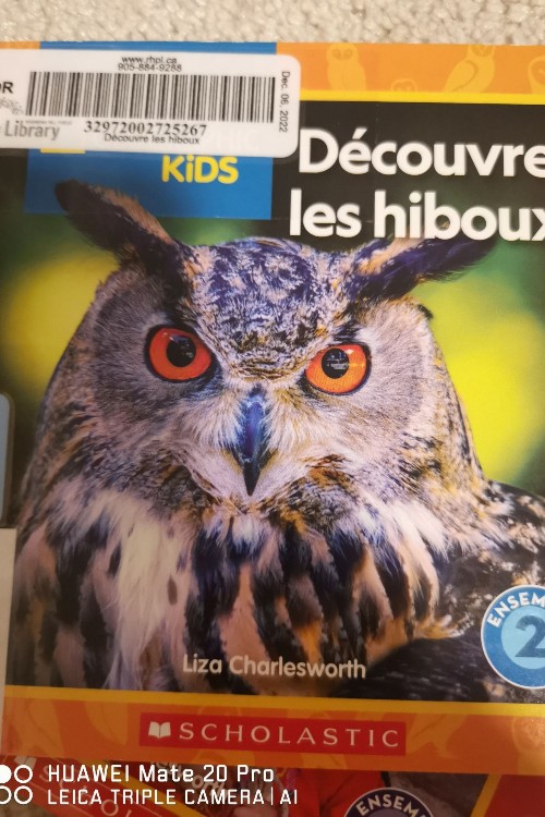 Decouvre Les hiboux