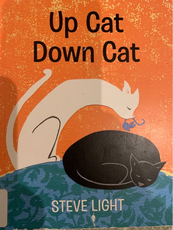 Up cat Down Cat