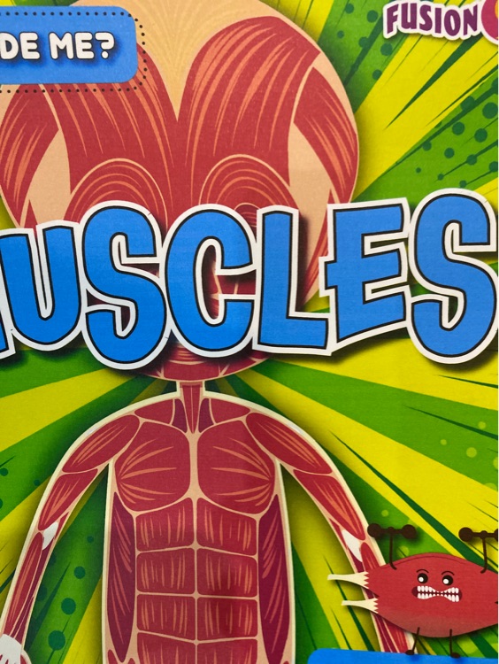 My muscles