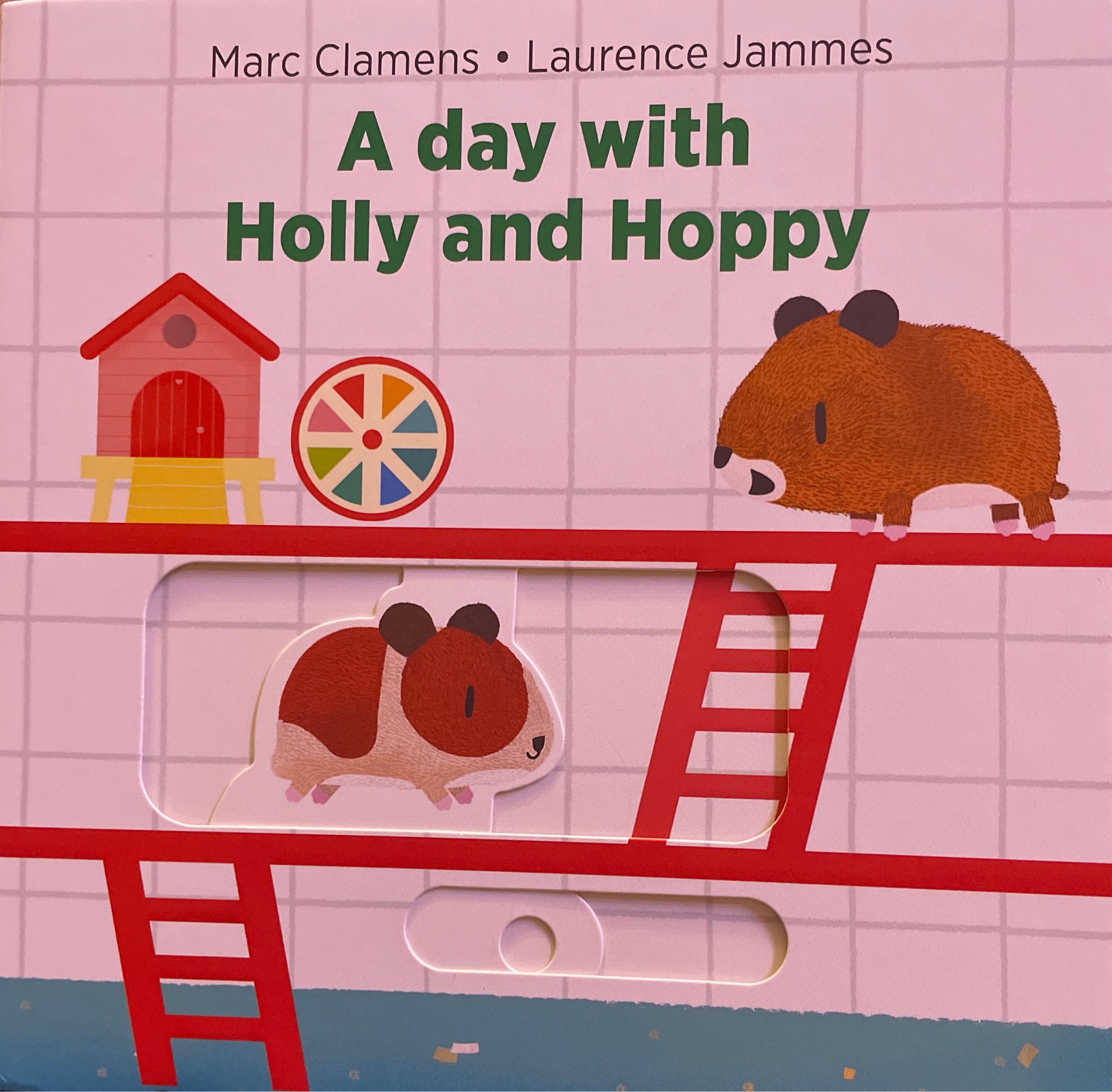 A day with holly and hoppy