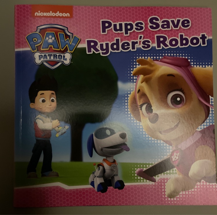 Pups save Ryder's Robot