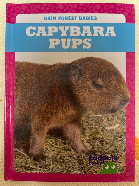 Capybara Pups