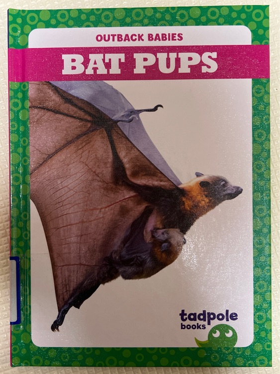 Bat Pups