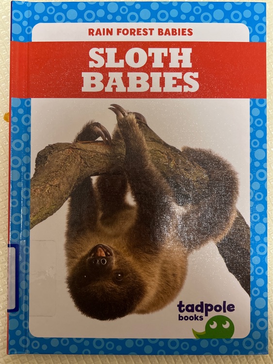 Sloth Babies