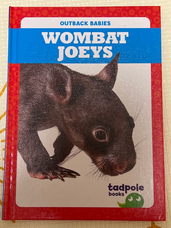 Wombat Joeys