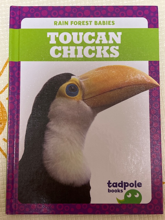 Toucan Chicks