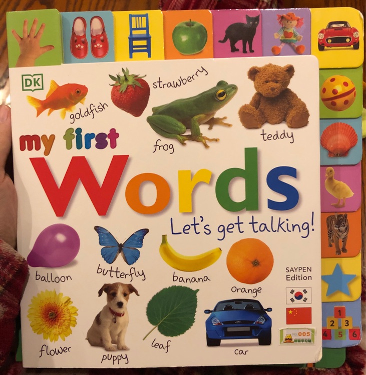 DK my firsr Word 點讀版