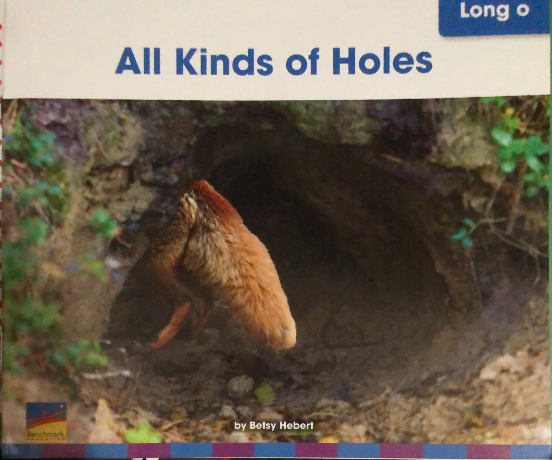 All Kinds of Holes