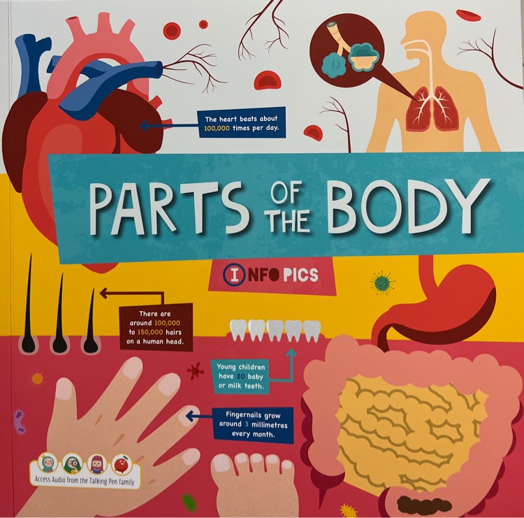 Infopics可視化思維輕科普Parts of the body